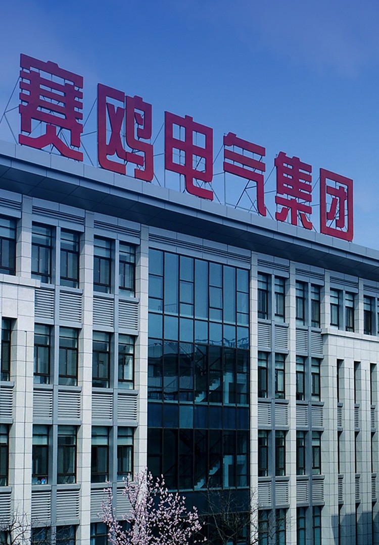 赛鸥电气集团